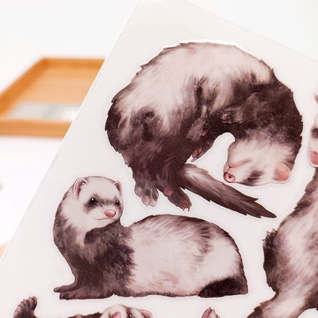 5K035 五口美 雪貂B_Ferret B フェレットB/轉印貼紙