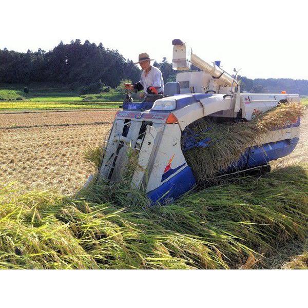 新米出荷中 加藤さんの多古米 25kg 白米 令和５年産 千葉県産 送料無料 幻の米 多古米 たこまい タコマイ