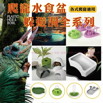 魚寶貝🔥爬寵【水食盆 / 食盆 / 水盆全系列】 烏龜洞 烏龜躲避屋 躲避洞 烏龜 陸龜 角蛙 守宮 爬蟲 蜥蜴 守宮
