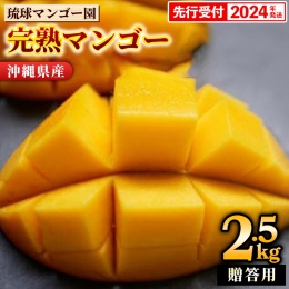 樹上完熟！琉球マンゴー園の完熟アップルマンゴー約2.5kg（贈答用 大玉４玉）