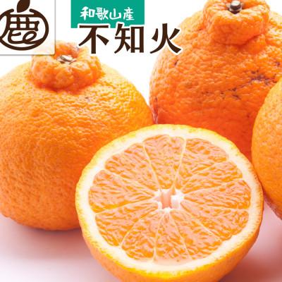 ふるさと納税 日高町 ＜先行受付＞厳選 不知火4kg 120g(傷み補償分)＜2月より発送＞