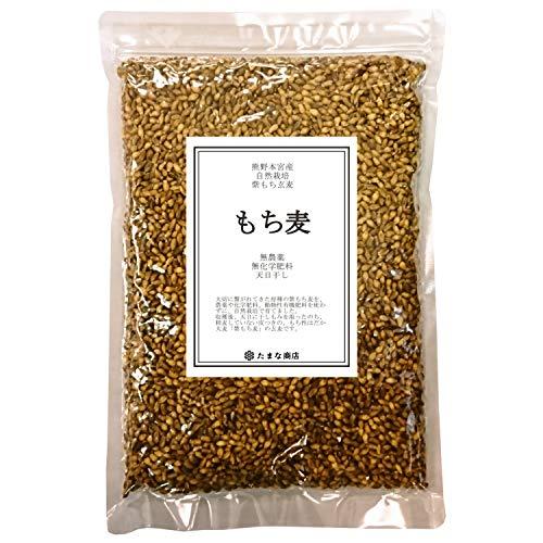 原種 紫もち麦 玄麦 450g 令和4年産 個包装 和歌山県産 無農薬 無化学肥料