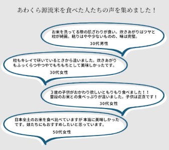 白米 5kg 令和5年産 コシヒカリ 岡山 あわくら米米倶楽部 K-af-CCZA