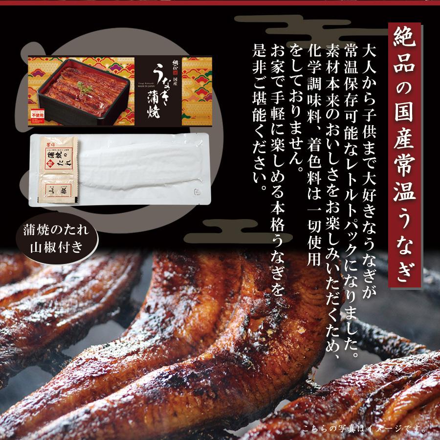 うなぎ 国産 蒲焼き 110ｇ レトルト食品 常温保存  鰻 フーズ・ユー ご当地グルメ ギフト お歳暮