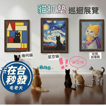 🔥毛老大.隔日達🔥劍麻貓抓墊貓墊睡墊兩用  耐抓 不掉屑 可貼牆搭配裝潢超美貓抓板 沙發剋星不掉屑 戴耳環的女孩 星空
