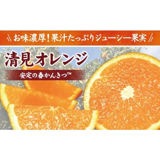 ふるさと納税 和歌山県 北山村 清見オレンジ約8kg／果実サイズおまかせ※2024年2月中旬〜4月下旬頃発送予定　　　紀伊国屋文左衛門本舗