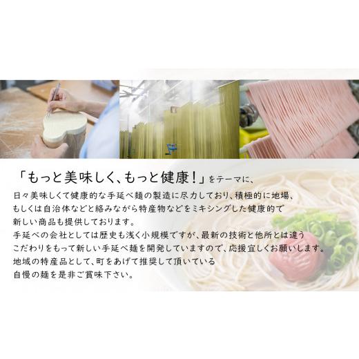 ふるさと納税 熊本県 玉名市 潤生麺 うどん 16食入り