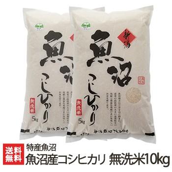 魚沼産 コシヒカリ 無洗米 10kg（5kg×2） 特産魚沼 送料無料