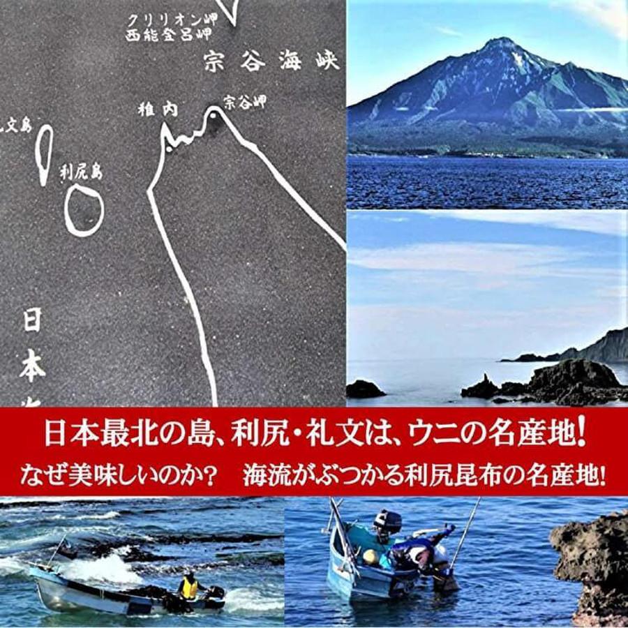 ムラサキ雲丹 利尻島産 甘塩粒うに  60ｇ 1瓶 稚内