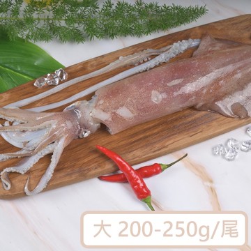【一夫水產】海釣透抽(大)－4尾組（200-250g/尾）