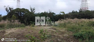 林口大水湳路正路邊都內農地｜新北市林口區頂福