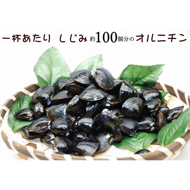 しじみの味噌汁 送料無料 8袋入り しじみ 味噌汁 1杯あたりしじみ約100個分のオルニチン配合 蜆 シジミ オルニチン インスタント味噌汁