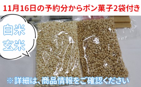 築上町産 本格 杵つき 生もち 「 かき餅 」 4種類 12袋《築上町》 餅 お餅 もち [ABAB003]