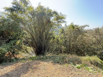 橫山馬福田園丙建｜新竹縣橫山鄉八十分