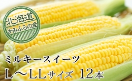 朝採りとうもろこしL～LL 10本セット≪北海道上富良野町産≫