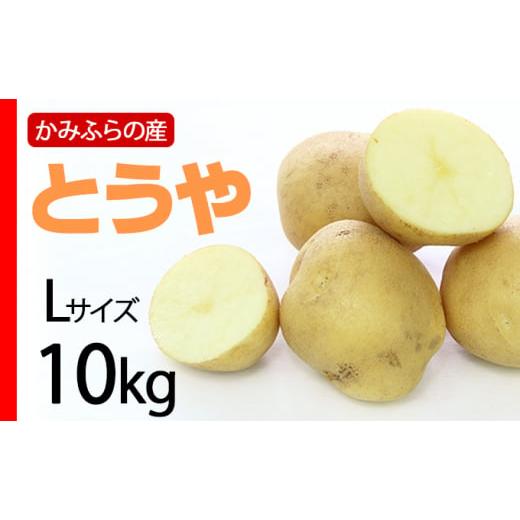 ふるさと納税 北海道 上富良野町 北海道 上富良野町 産 じゃがいも とうや 10kg