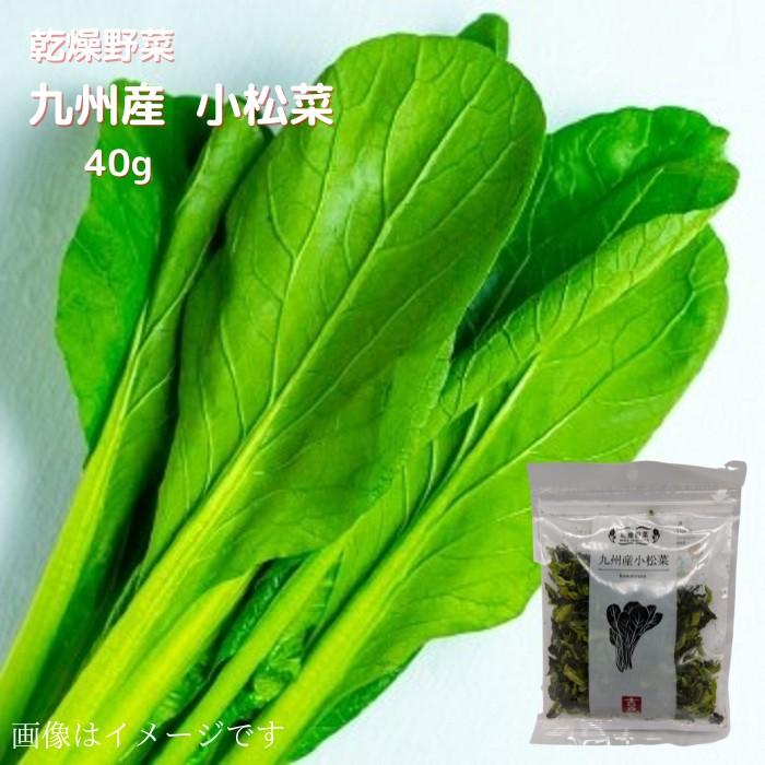 乾燥野菜 九州産 小松菜 40ｇ 送料無料  長期保存 常温  乾燥 乾燥野菜 野菜 簡単便利 時短 小松菜