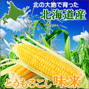 2024年 予約受付中 9月頃出荷開始 北海道産 とうもろこし 送料無料 とうもろこし 味来 (みらい 6本入り)   北海道 トウモロコシ 新鮮直送