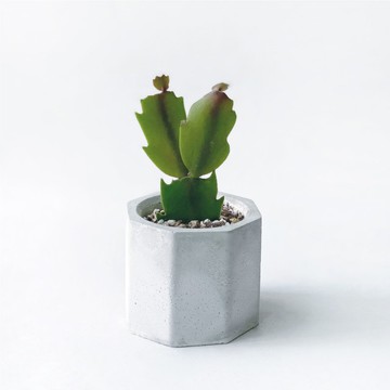 (預購) 白灰漸層系列 | 螃蟹蘭 小八角形水泥仙人掌植栽
