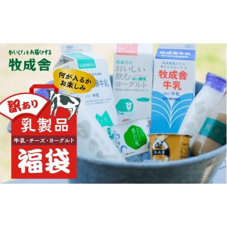 ふるさと納税 乳製品 訳あり 福袋 ヨーグルト 牛乳 種類おまかせ  訳あり 詰合せ 牧成舎 TR3754 岐阜県高山市