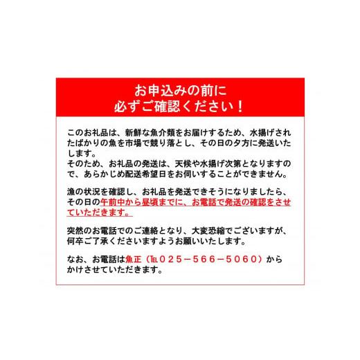 ふるさと納税 新潟県 糸魚川市 日本海直送 高級鮮魚ボックス 旬の魚詰め合せ 魚のプロが選んだ厳選魚  新潟 糸魚川 能生漁港から朝獲れ新鮮な魚をお届け 生 (…