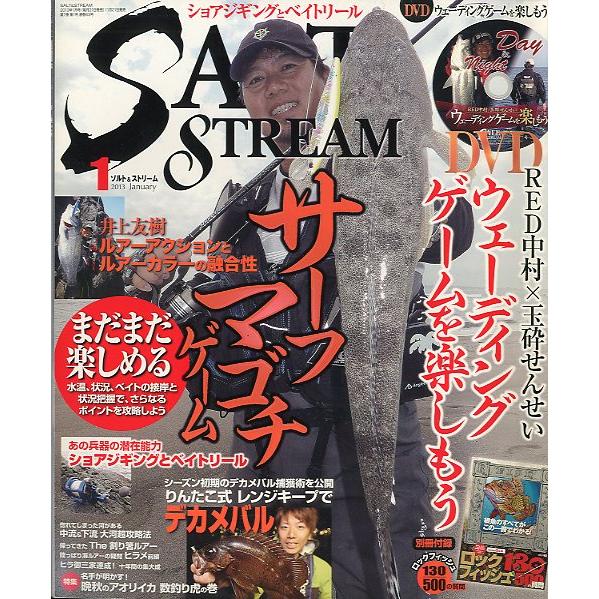 SALTSTREAM（ソルト＆ストリーム）　２０１３年１月号　　＜送料無料＞