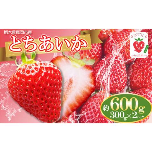 ふるさと納税 栃木県 真岡市 とちあいか  600g(300g×2) 真岡市 栃木県 送料無料