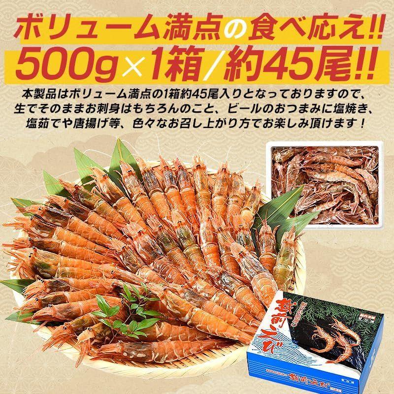 ガラエビ がらえび がらエビ 500g ガマエビ ガサエビ モサエビ 刺身 越前産 福井県