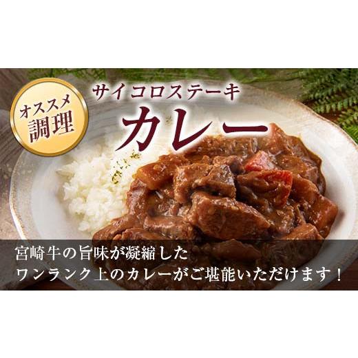 ふるさと納税 宮崎県 日南市 ≪数量限定≫宮崎牛ステーキ食べ比べセット(合計500g)　肉　牛　牛肉　国産 E42-23