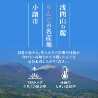 信州小諸産 シナノスイート 家庭用 約10kg 長野県産