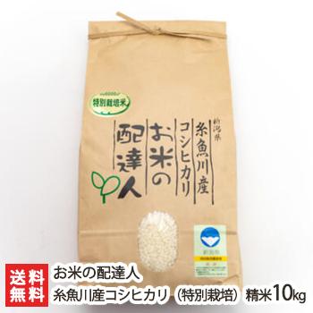 特別栽培米（減農薬・減化学肥料）新潟 コシヒカリ 精米10kg お米の配達人 送料無料