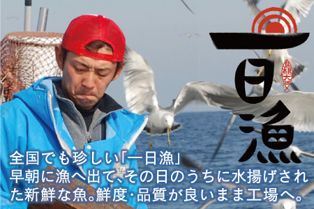 島根県沖！大ぶり「のどぐろ一夜干」定期便（３回お届け）