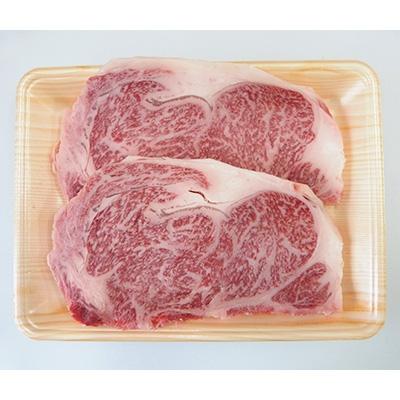 ふるさと納税 大野町 A5等級飛騨牛サーロインステーキ用600g(1枚約300g×2枚)