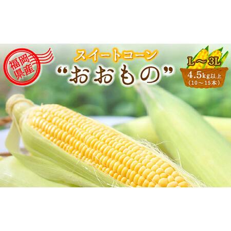 ふるさと納税 福岡県産 SDGs米糠堆肥で作ったメロンより甘い「博多あまっコーン(おおもの)」4.5kg以上 福岡県大刀洗町