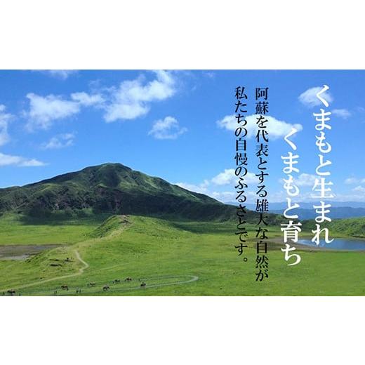 ふるさと納税 熊本県 益城町 熊本県産 GI認証取得 くまもとあか牛 切り落とし 合計1kg 牛肉