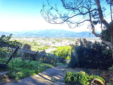 專任中興嶺廣角視野超低價景觀農地｜台中市新社區馬力埔段