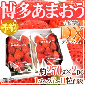 福岡産 博多 ”あまおういちご” 等級DX（デラックス） 1箱 2パック入り（1パック約270g） 送料無料