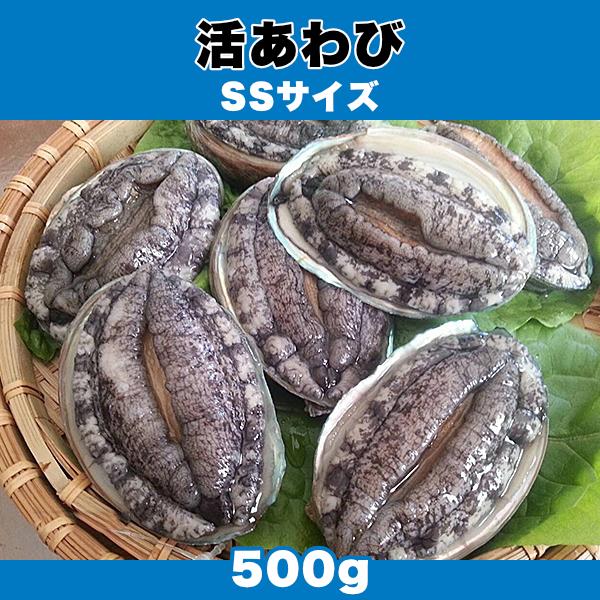 生きているから肝までお刺身品質 活あわび SSサイズ 500g