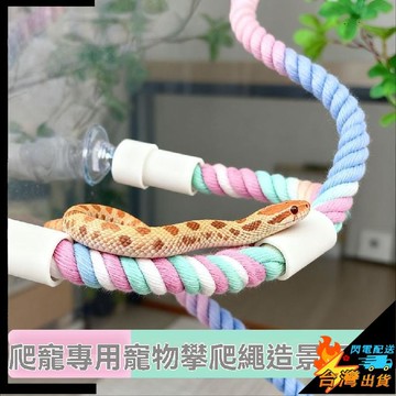 【台灣出貨】寵物用品 蛇箱丰容爬寵 造景鸚鵡吸盤式 攀爬繩 牡丹虎皮玄鳳鳥用 鞦韆站架站杆