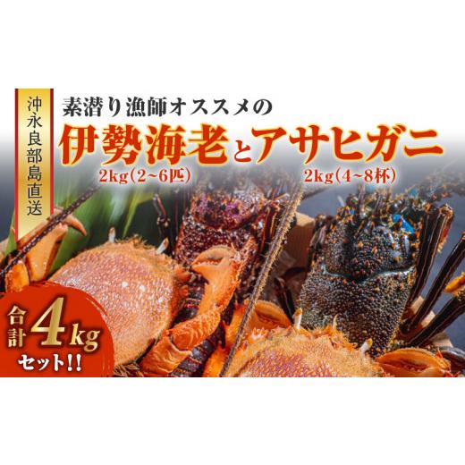 ふるさと納税 鹿児島県 和泊町 ■沖永良部島直送！素潜り漁師オススメの伊勢海老２キロ（２〜６匹）とアサヒガニ２キロ（４〜８杯）　合計４キロセット！！