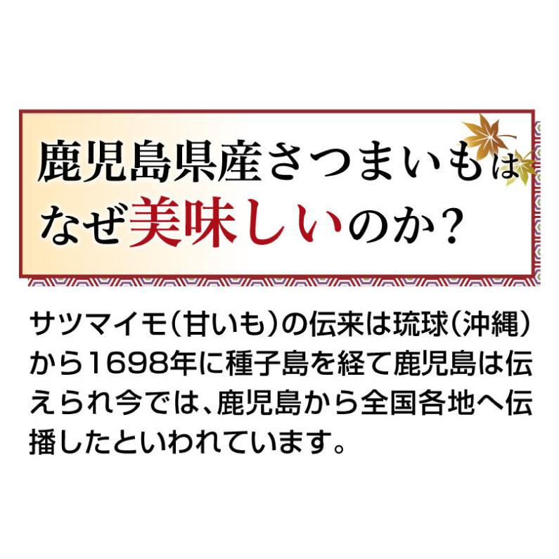 さつまいも 紅はるか A品 生芋M Lサイズ混合 130g〜300ｇ土つき 鹿児島 産地直送 3kg×1箱 送料無料 S常