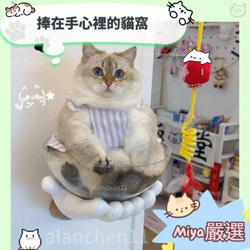 捧在手心的窩 可愛貓窩 貓咪窩 寵物裝飾 擺件 家居 多功能收納 收納 掛壁式貓窩 卡通造型 家居擺件 寵物用品 寵物
