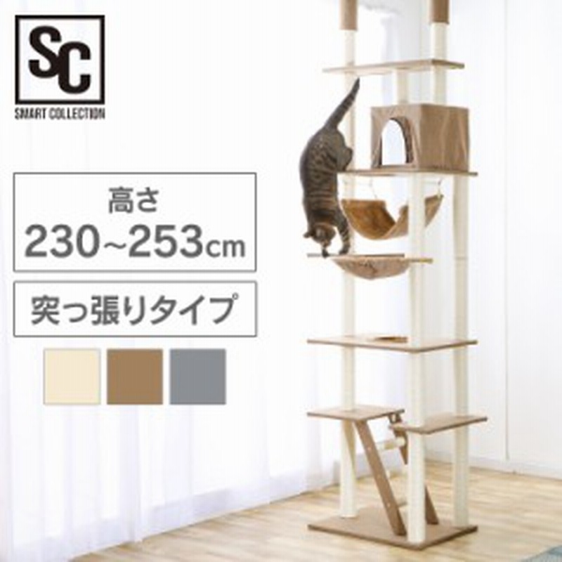 キャットタワー 突っ張り 多頭飼い 猫 猫タワー 爪とぎ おしゃれ ハンモック Ccct 4060t おもちゃ ねこ キャット タワー ハウス つっぱり 通販 Lineポイント最大3 0 Get Lineショッピング