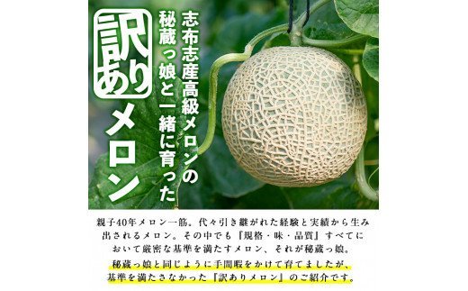 b0-106 ＜R5年11月下旬～12月末頃発送予定＞牧さんの訳ありメロン 白玉(青肉)計2玉