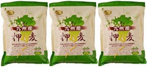 石橋工業 九州産押麦 800g×3個