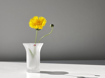 【iittala】Anni 01 復古花瓶・Jorma Vennola / 約爾馬‧文諾拉 單支插花瓶