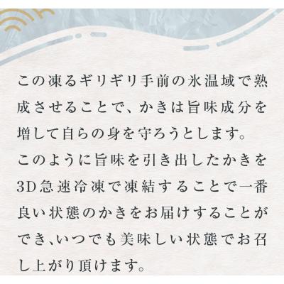 ふるさと納税 石巻市 牡蠣 宮城県産 氷温熟成 かき 生食用(冷凍)220g×9袋 約2kg 小分け 冷凍 バラバラ冷凍