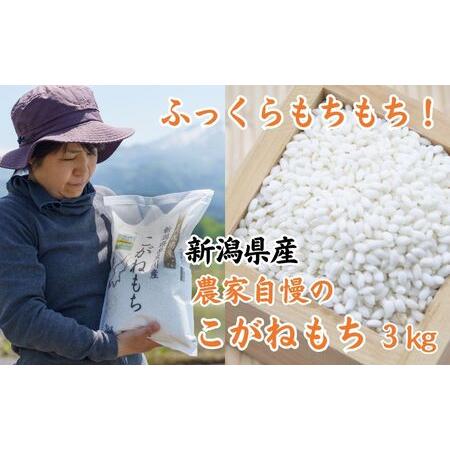 ふるさと納税 新潟県産特別栽培米『こがねもち』3kg 令和5年産新米 ふっくらモチモチ！ 芳醇な甘い香り 磯貝農場 新潟県糸魚川市