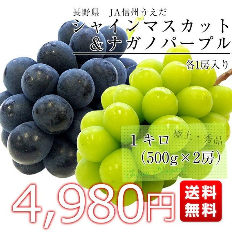 長野県より産地直送 JA信州うえだ ナガノパープルとシャインマスカット