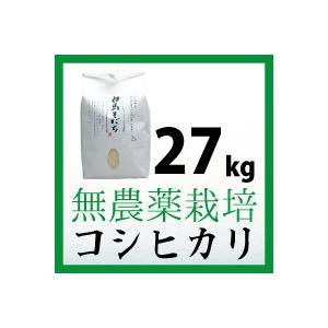 有機JAS認証　農薬不使用　コシヒカリ 27kg　　長野県白馬村